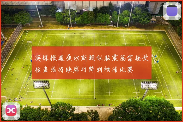 英媒报道桑切斯疑似脑震荡需接受检查或将缺席对阵利物浦比赛